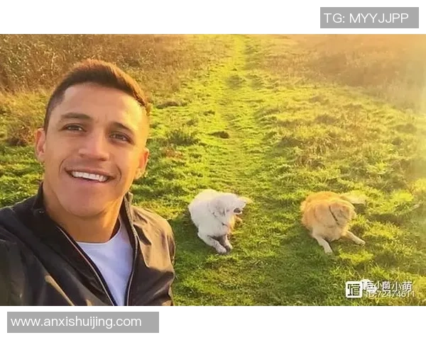 足球明星与他们的宠物们：那些场外的可爱伙伴与温馨故事